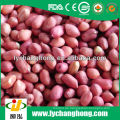 Rote Haut Erdnuss-Kernel aus China-Fabrik auf heißen Verkauf
